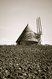 Windmills #1